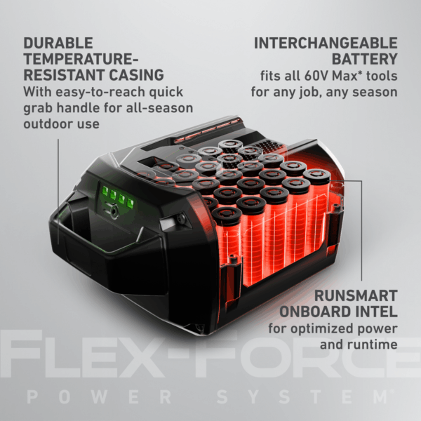 60V Max* Flex-Force 10.0 Ah Lithium-Ion Battery - Image 2